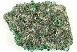 Fluorescent Green Fluorite Cluster - Diana Maria Mine, England #208863-2